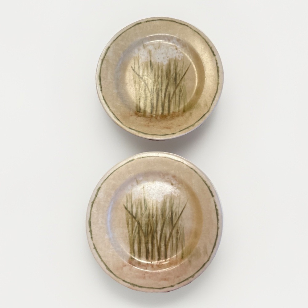 Cheri Blum 222 Fifth Narcissus Set Of 2 Salad Dessert Plates Floral‎ Design